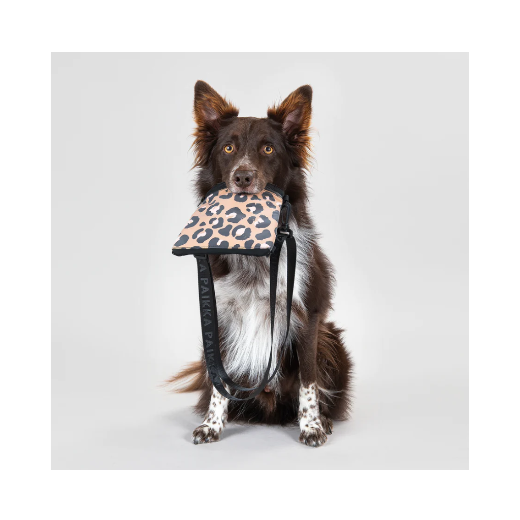 Hund mit Visibility Treat Pouch Leo - Paikka