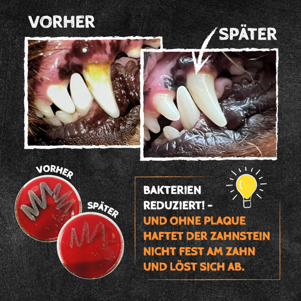 Vorher & Nachher QChefs Zahnpflege-Snacks für Hunde