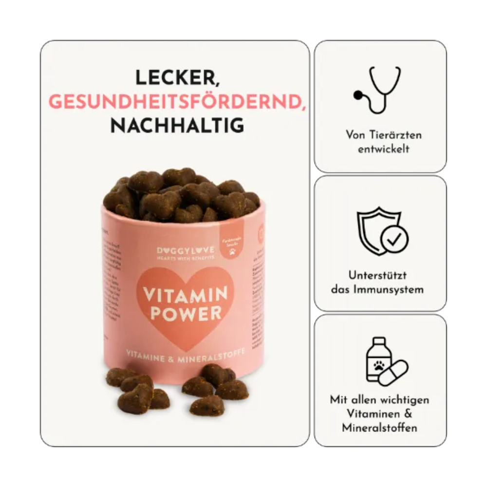 Vorteile Funktionaler Hundesnack VITAMIN POWER Vitamine & Mineralstoffe - doggylove