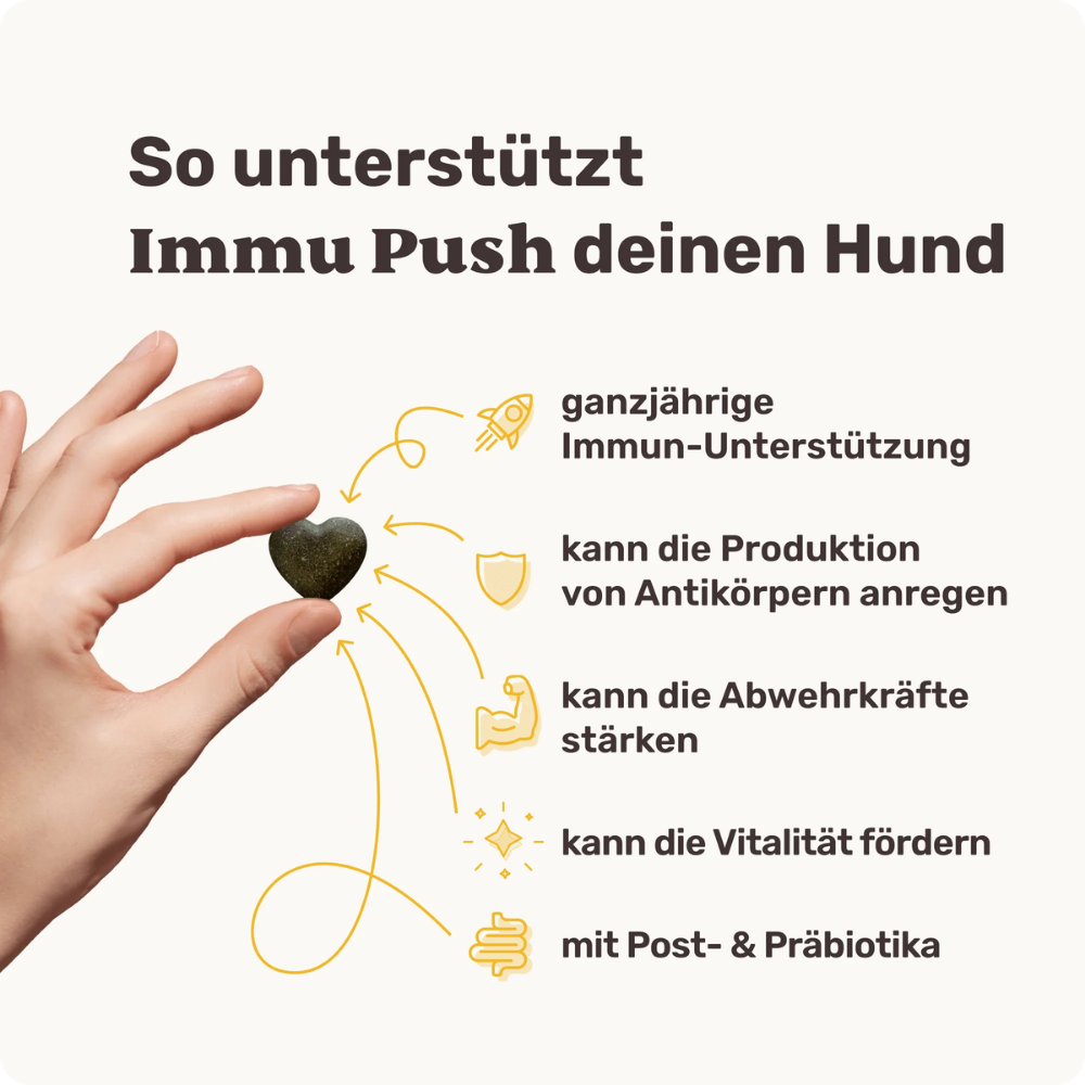 Vorteile Immu Push Abwehrkräfte-Snack für Hunde - mammaly