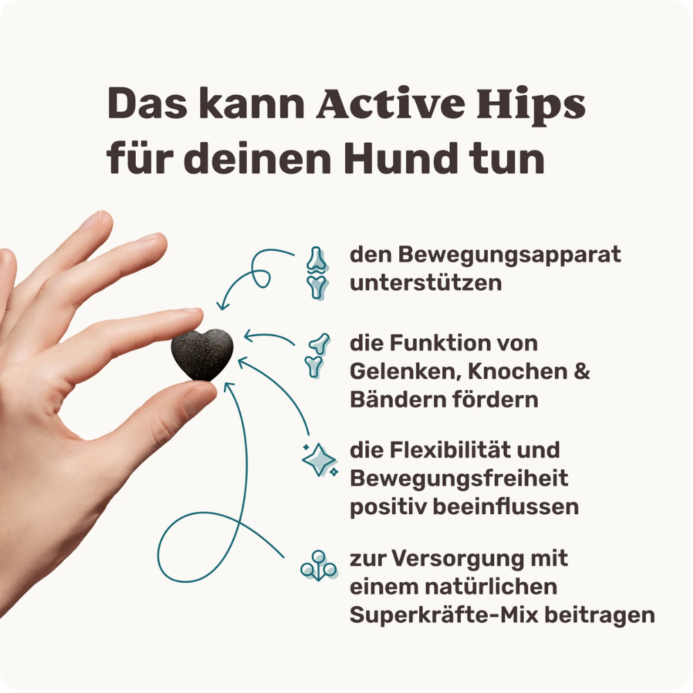 Vorteile Active Hips Gelenk-Snack für Hunde - mammaly