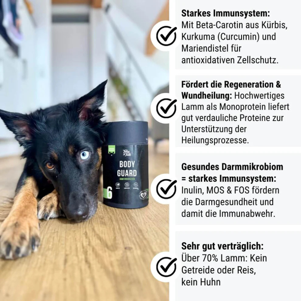 Vorteile Bodyguard Nr. 6 - Immunbooster Snack für Hunde - Tales & Tails