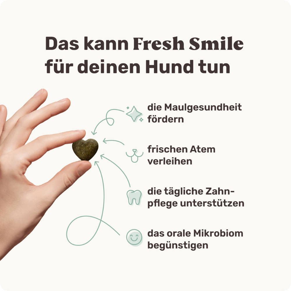 Vorteile Fresh Smile Zahnpflege Snacks für Hunde - mammaly