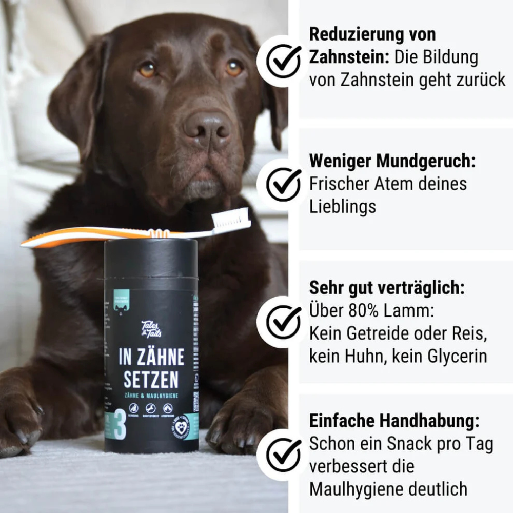 Vorteile In Zähne setzen Nr. 3 - Zahnpflege-Snack für Hunde - Tales & Tails
