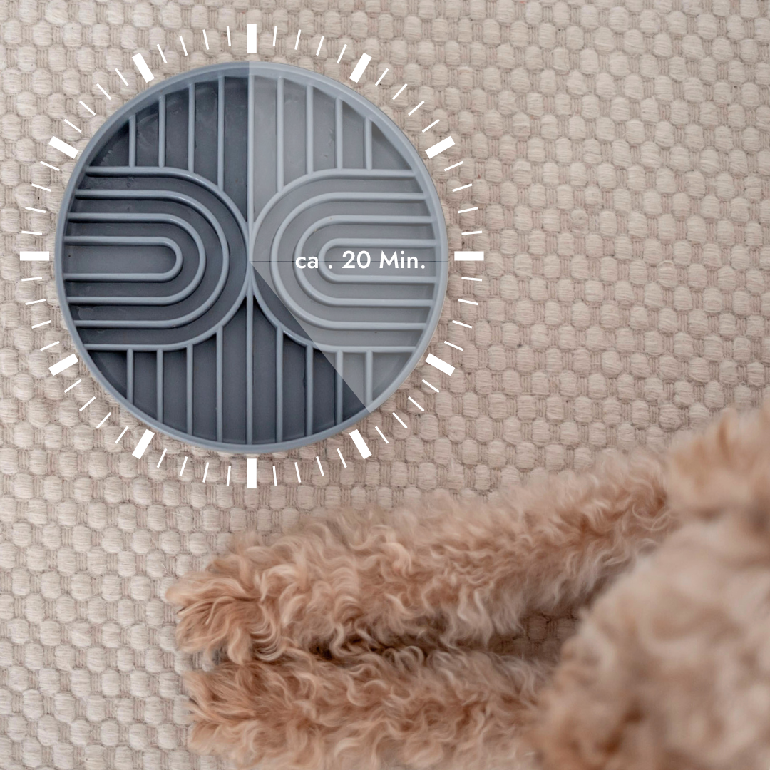Vorteile Hund mit Slow Feeder Bowl - LOVINDOG