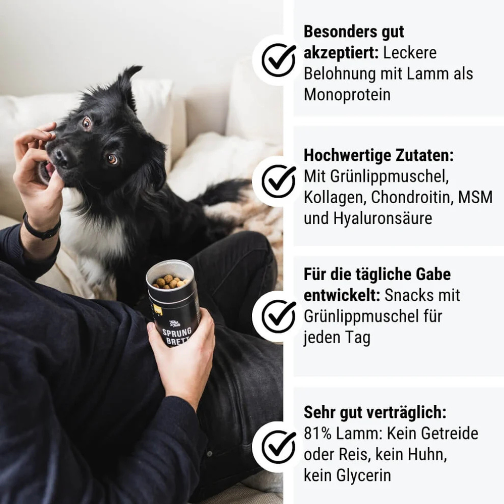 Vorteile Sprungbrett Nr. 2 - Springen & Spielen-Snack für Hunde - TALES & TAILS