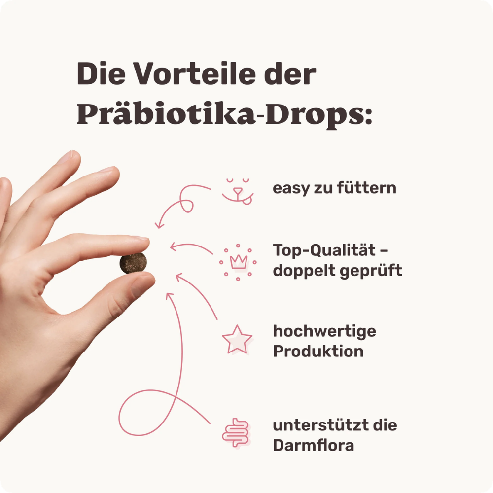 Vorteile Vitalstoff Drops mit Präbiotika für Hunde - mammaly