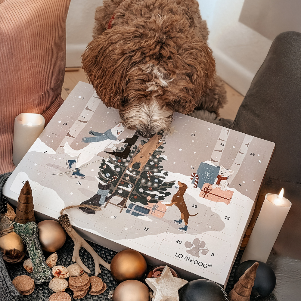 Weihnachtliches Dekobild mit Hund Adventskalender 2025 LOVIN'DOG