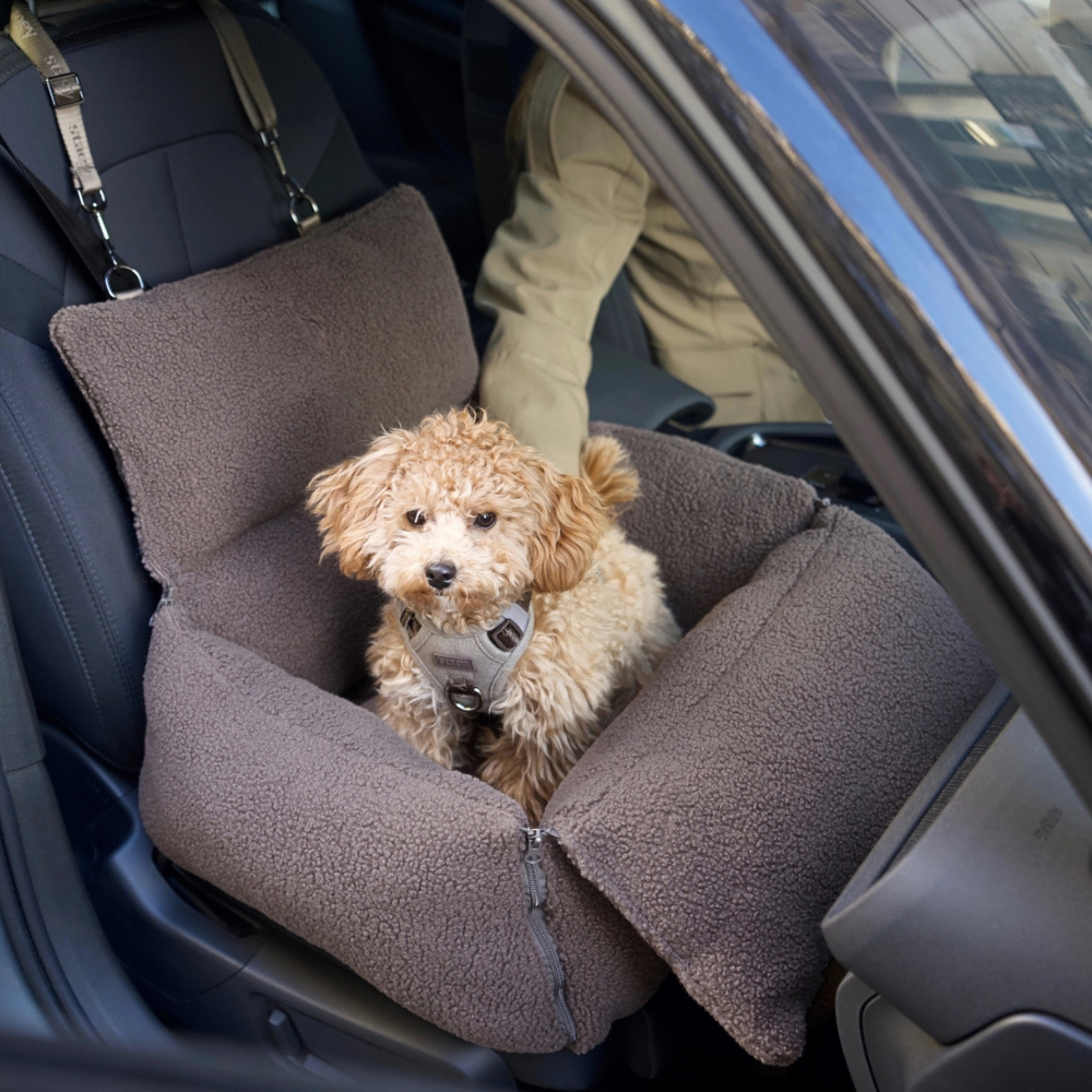 Welpe in Clara 3‑in‑1‑Autositz für Hunde Teddy Braun Limitierte Auflage - staey