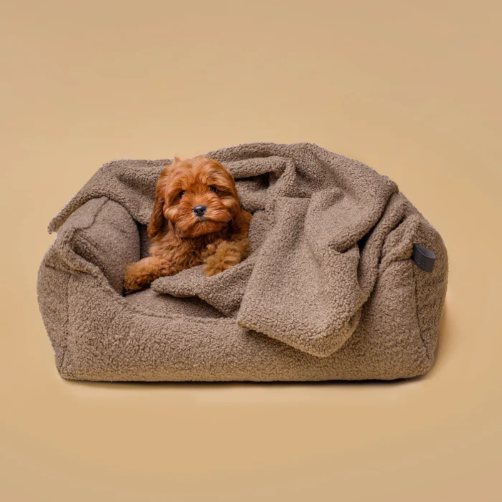 Welpe mit Kuscheldecke TEDDY CALM ECO Bouclé Taupe - Lillabel