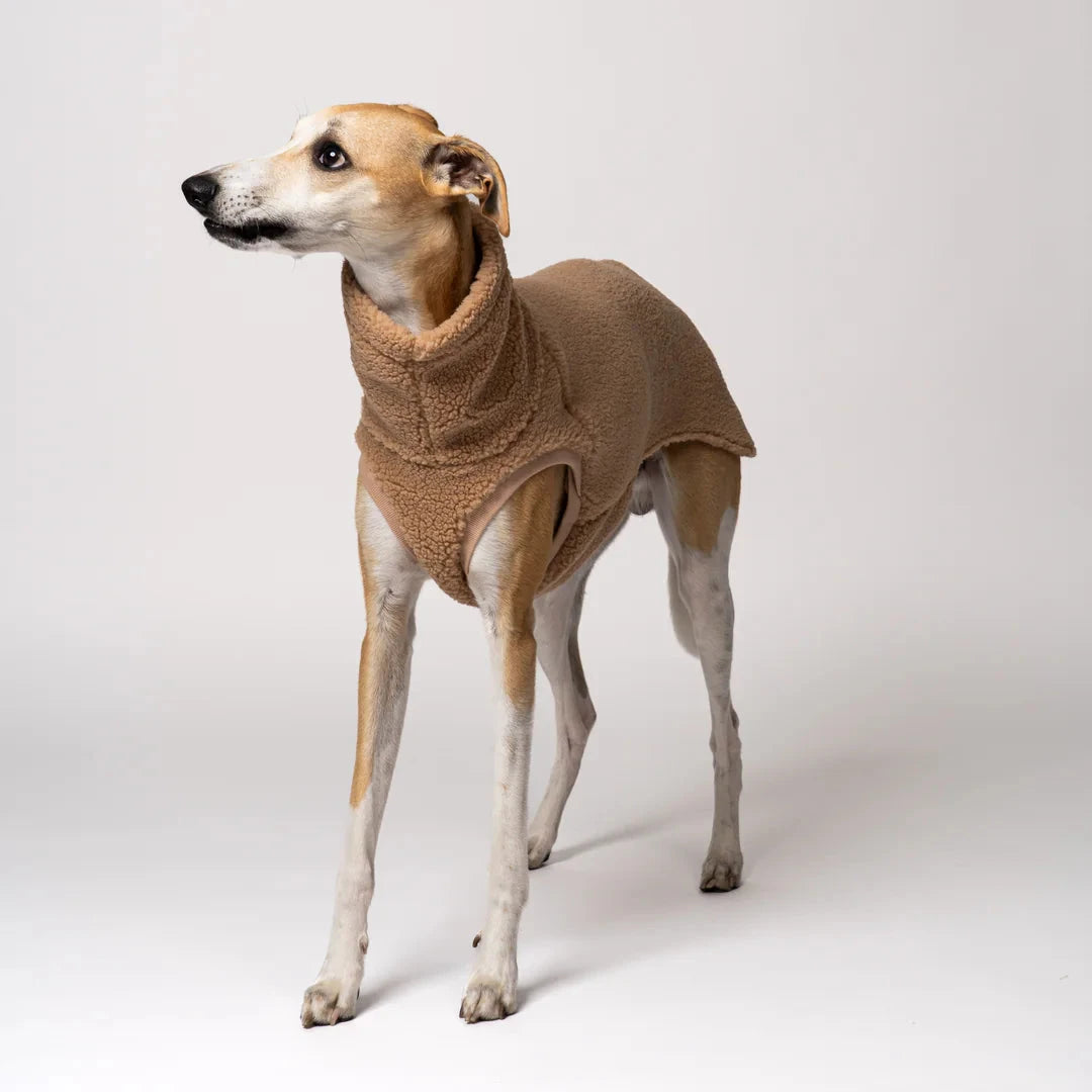 KARMA HUND Teddy Shirt für Windhund in Camel
