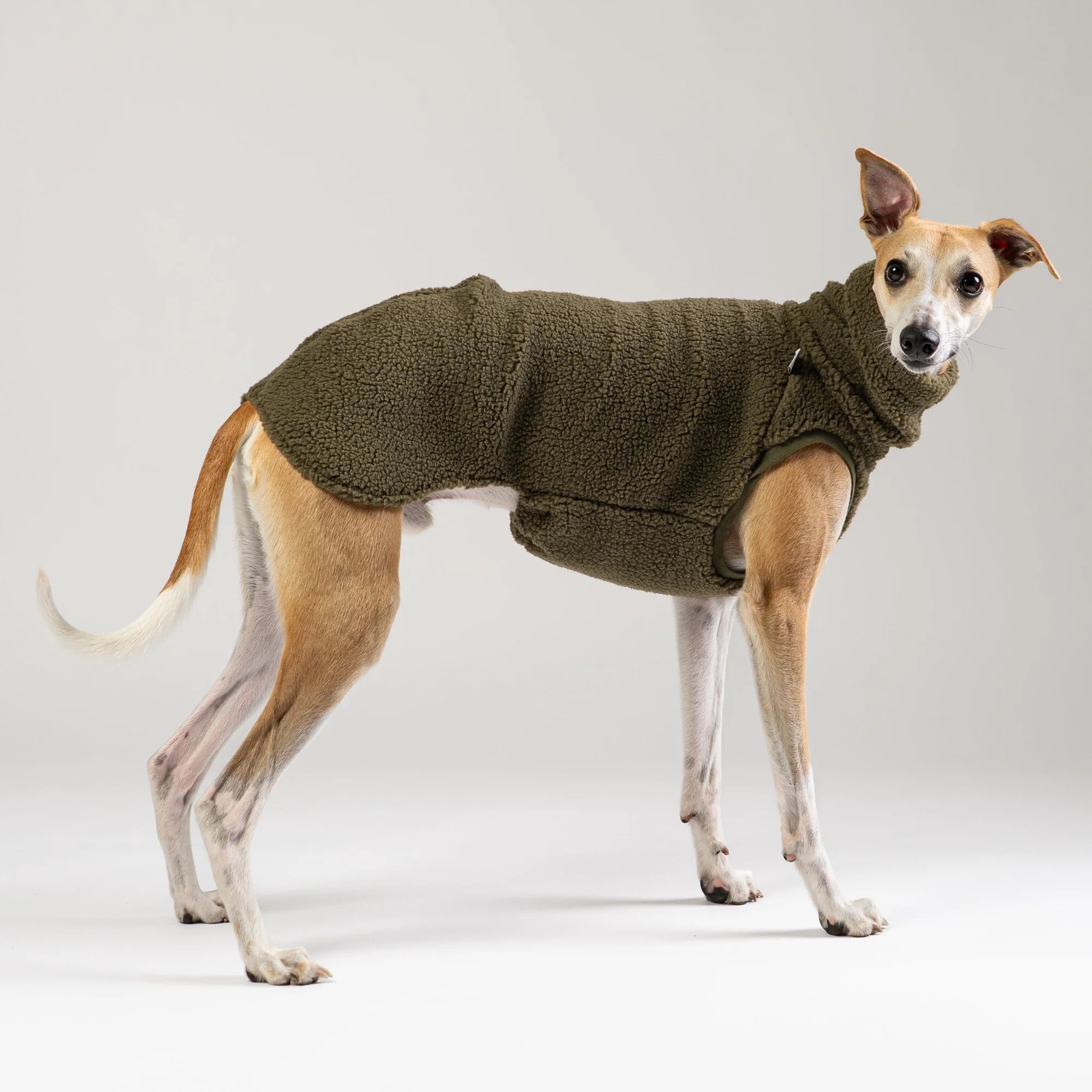 KARMA HUND Teddy Shirt für Windhund in Dark Olive