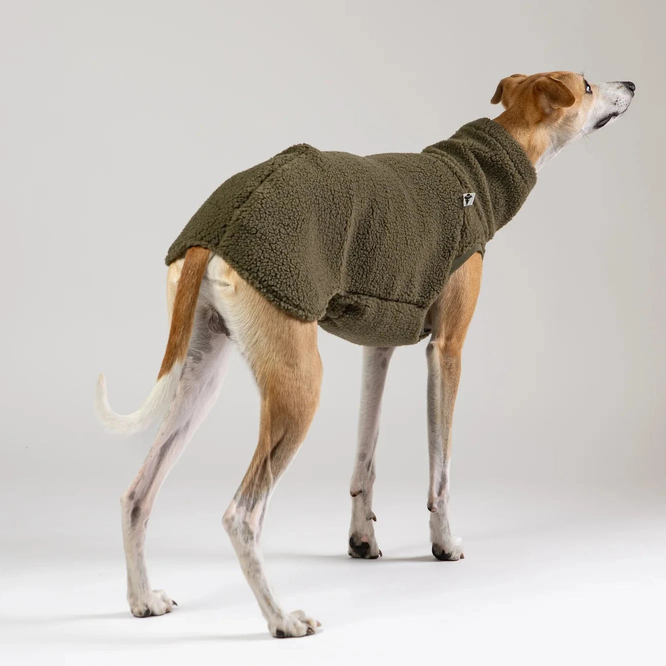 KARMA HUND Teddy Shirt für Windhund in Dark Olive