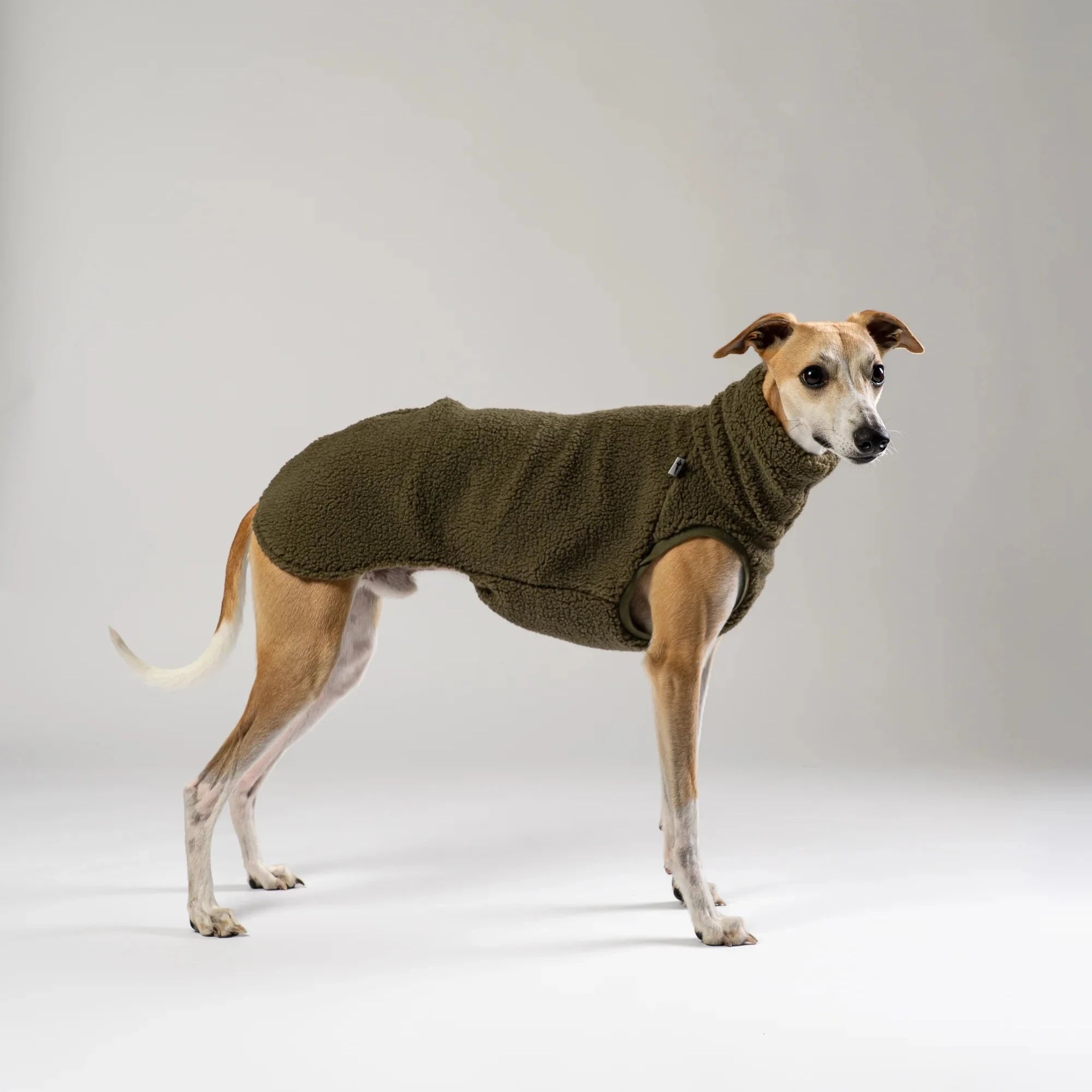 KARMA HUND Teddy Shirt für Windhund in Dark Olive