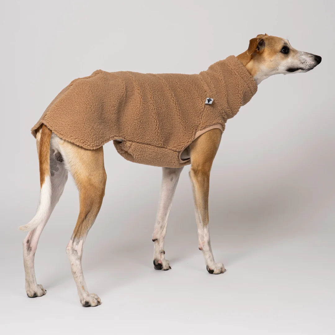 KARMA HUND Teddy Shirt für Windhund in Camel