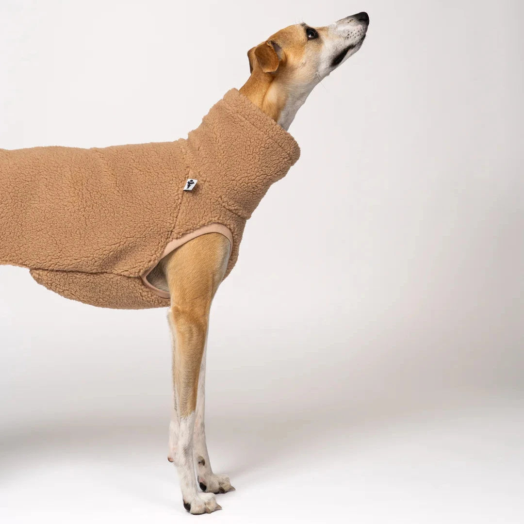 KARMA HUND Teddy Shirt für Windhund in Camel