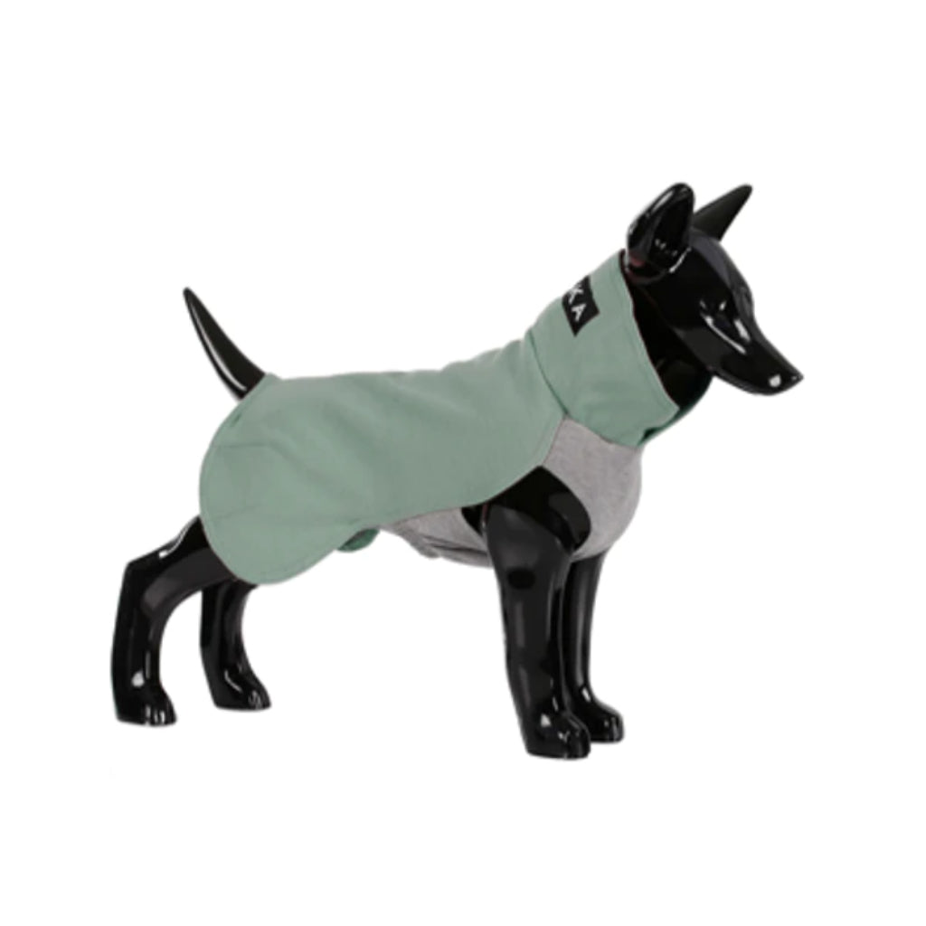 Hundepullover Recovery Winter Shirt green - PAIKKA