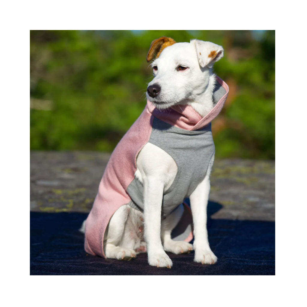 Tragebild Hundepullover Recovery Winter Shirt PINK / ROSA - PAIKKA