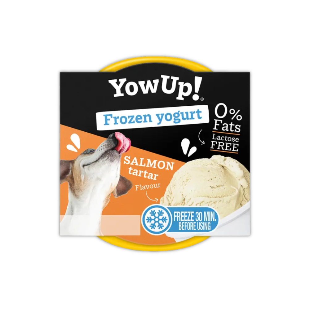 YowUp! Hundeeis Eiscreme Joghurt Salmon