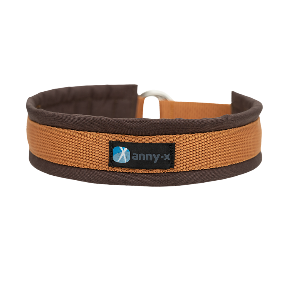 Zugstopphalsband Fun Braun-Bernstein - annyx