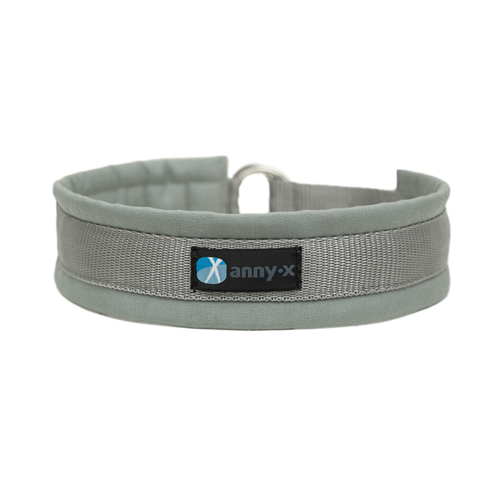 Zugstopphalsband Fun Grau-Silber - annyx
