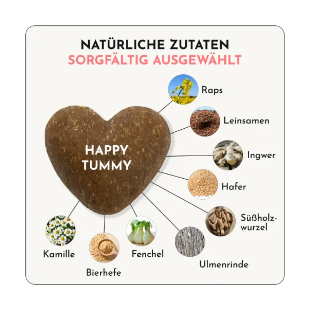 Zutaten Funktionaler Hundesnack HAPPY TUMMY Magen - doggylove