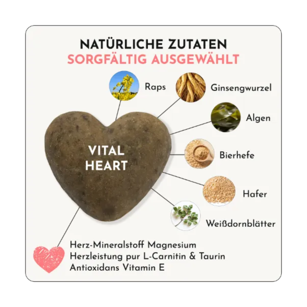 Zutaten Funktionaler Hundesnack VITAL HEART Vitalität - doggylove