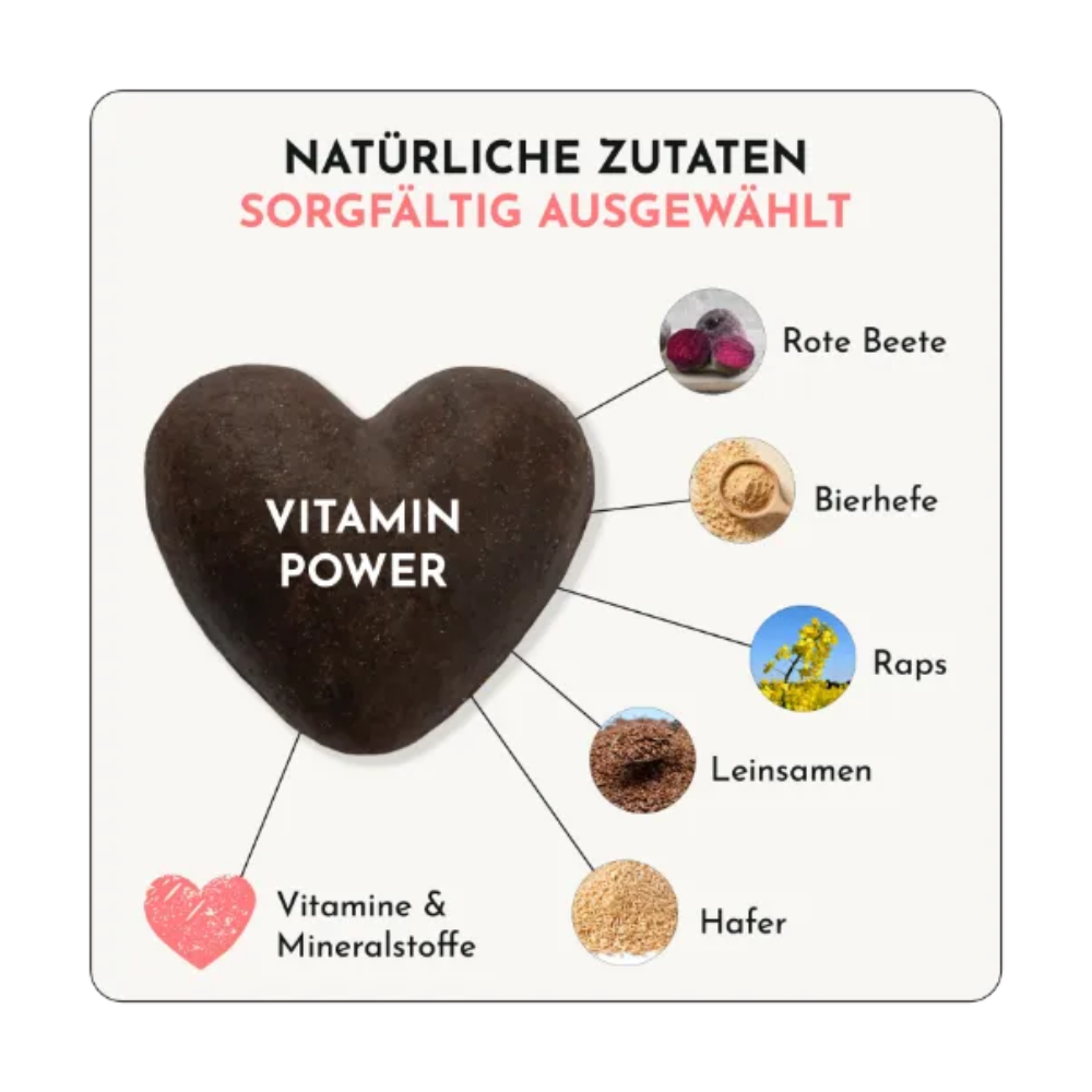 Zutaten Funktionaler Hundesnack VITAMIN POWER Vitamine & Mineralstoffe - doggylove