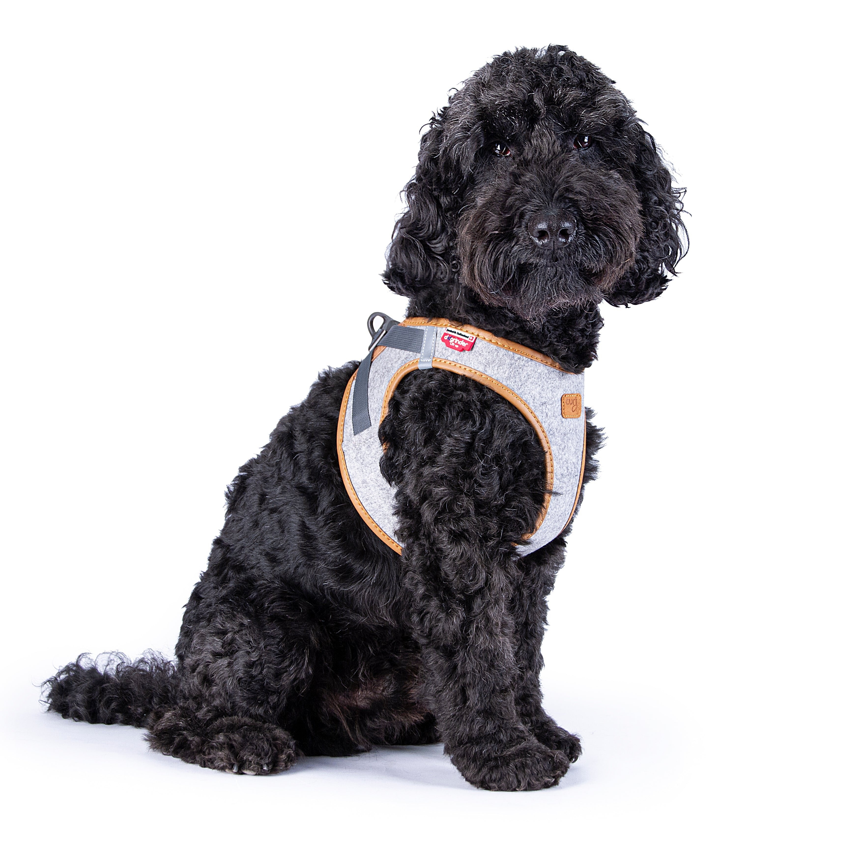 Tragebild 2 Hundegeschirr ALPINE CURLI CLASP VEST Harness Gray