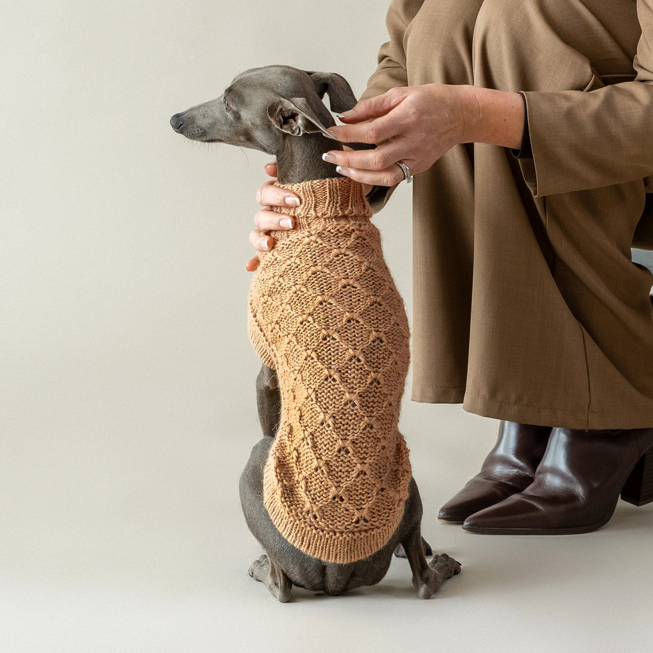 Hundepullover Kamel aus Alpaka