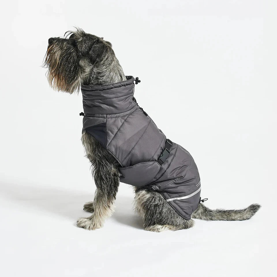 Tragebild im Sitzen MiaCara Hundemantel Winter COSIMA asphalt