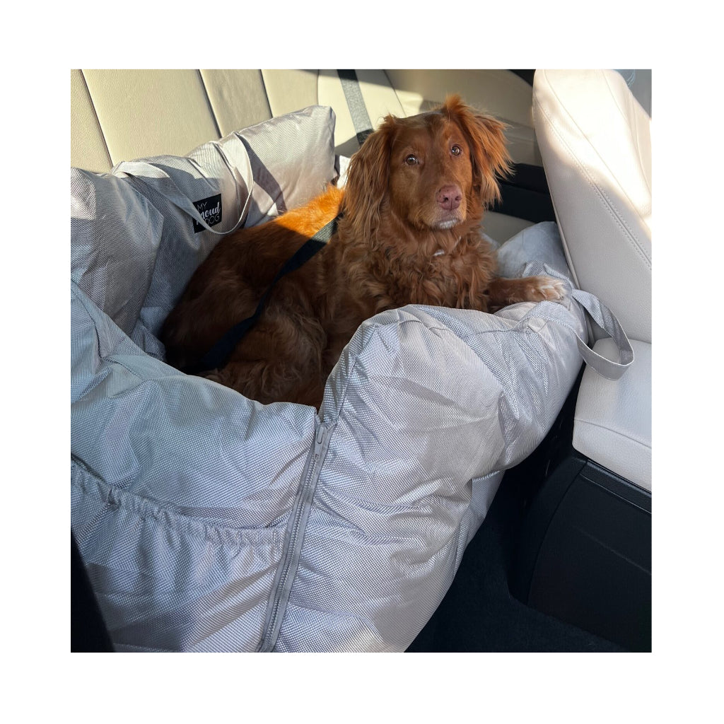Hund in Autositz XL GRAU tragbare Tasche - Studio Proud