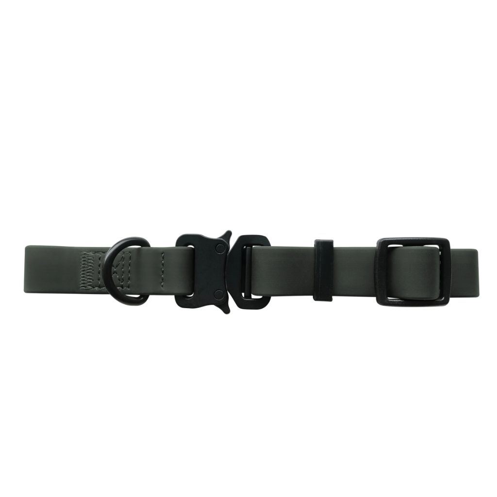 Schnalle AVA Halsband mit quick release Schnalle PINE Dunkelgrün - Lambwolf Collective