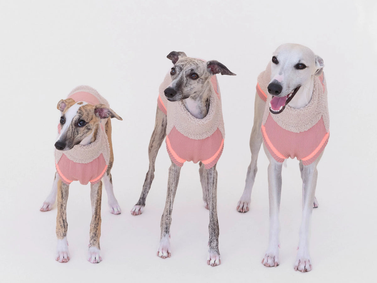 lumiies® Sport Racer Hundepollover aus Teddy-Sherpa-Fleece