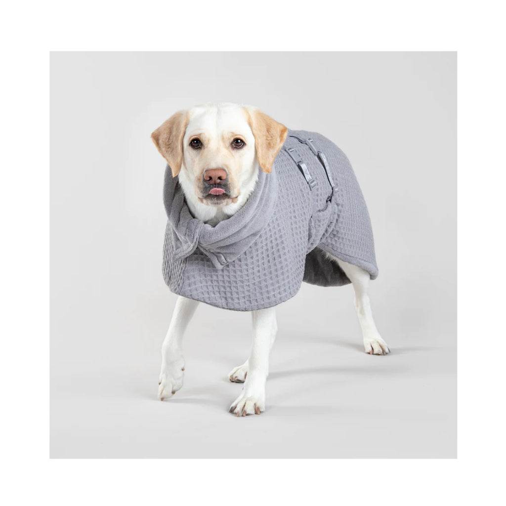 Tragebild Hundebademantel Drying Coat Spa GREY - PAIKKA