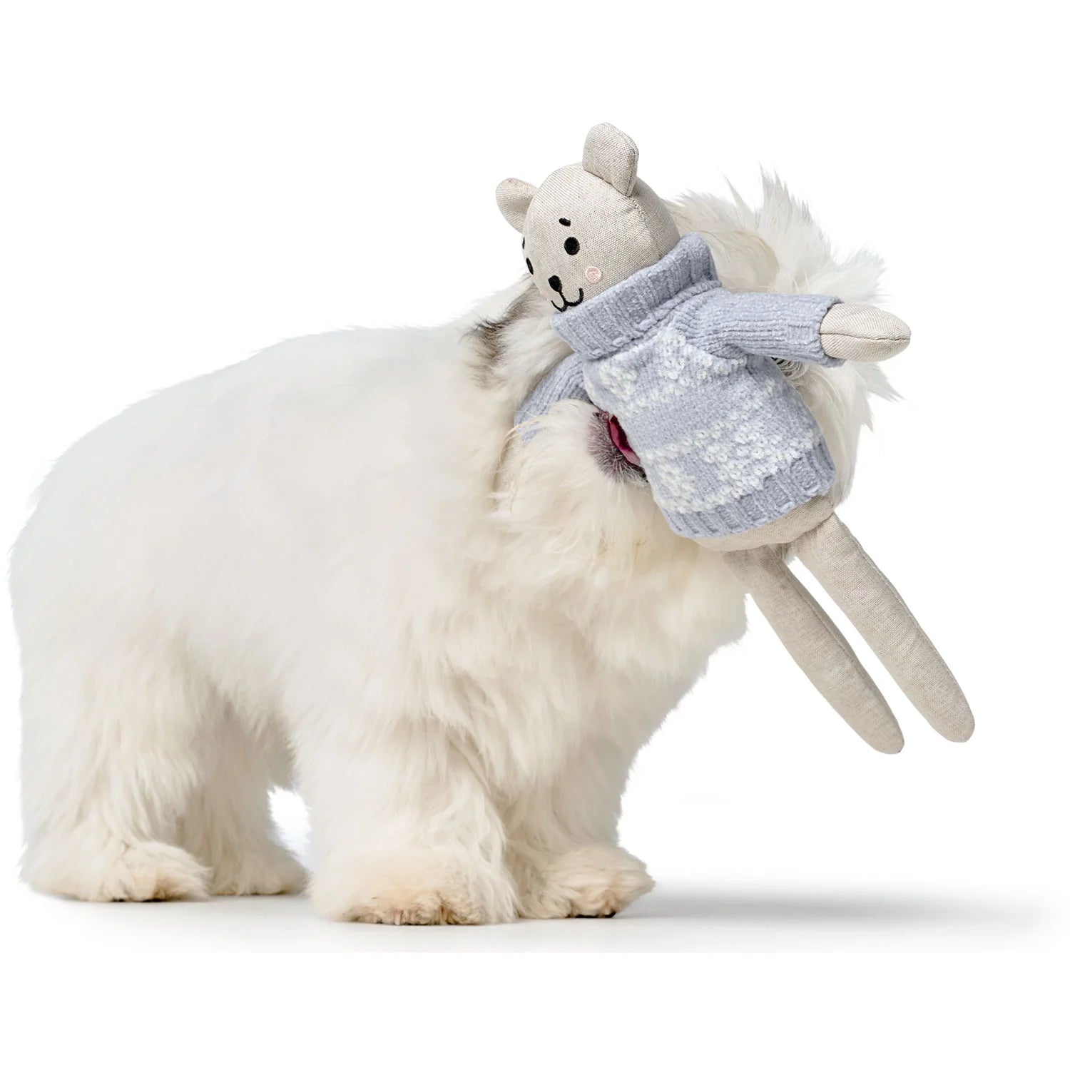 Hund mit Hundespielzeug BIRKA Bär Hellblau - Hunter