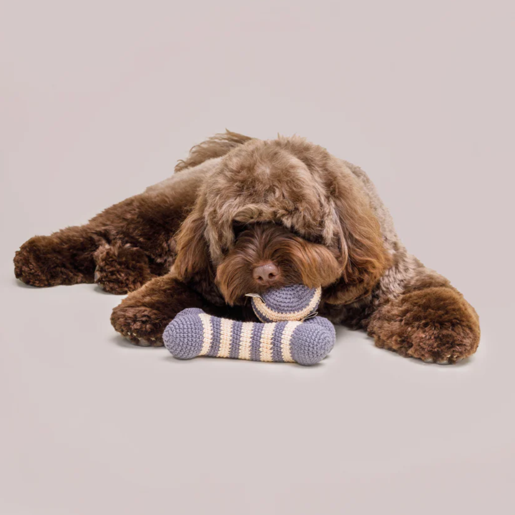 Hund mit Knochen + Ball RAINBOW gehäkelt NIGHT-BLUE - Lillabel