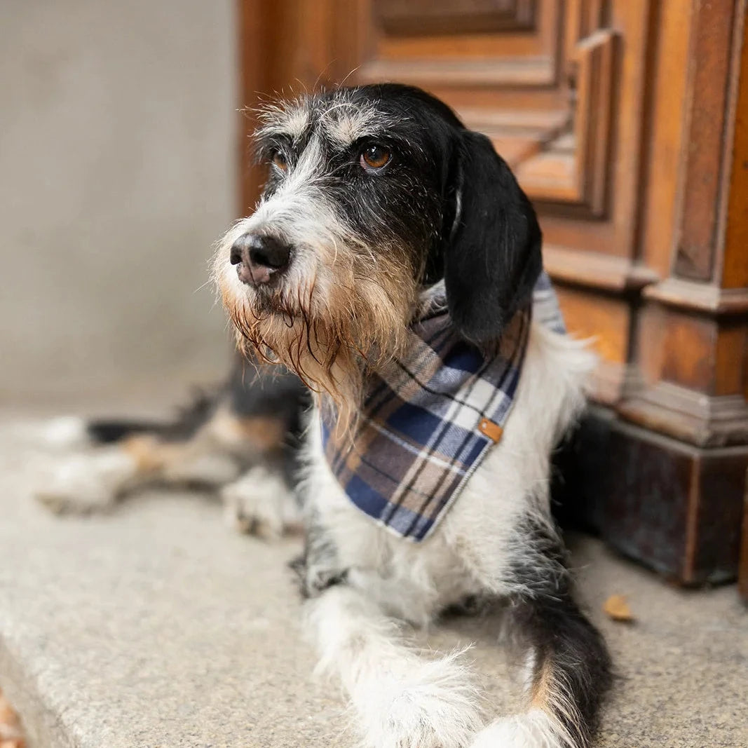 Lieblingspfote Bandana Halstuch Flanell "HIGHLAND"