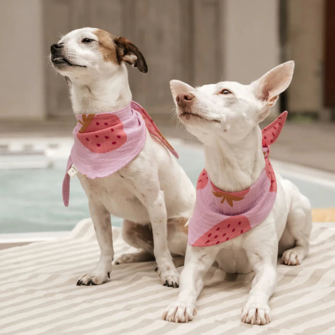 Tragebild Bandana Musselin Erdbeere Pink - zuckerschnute.rocks