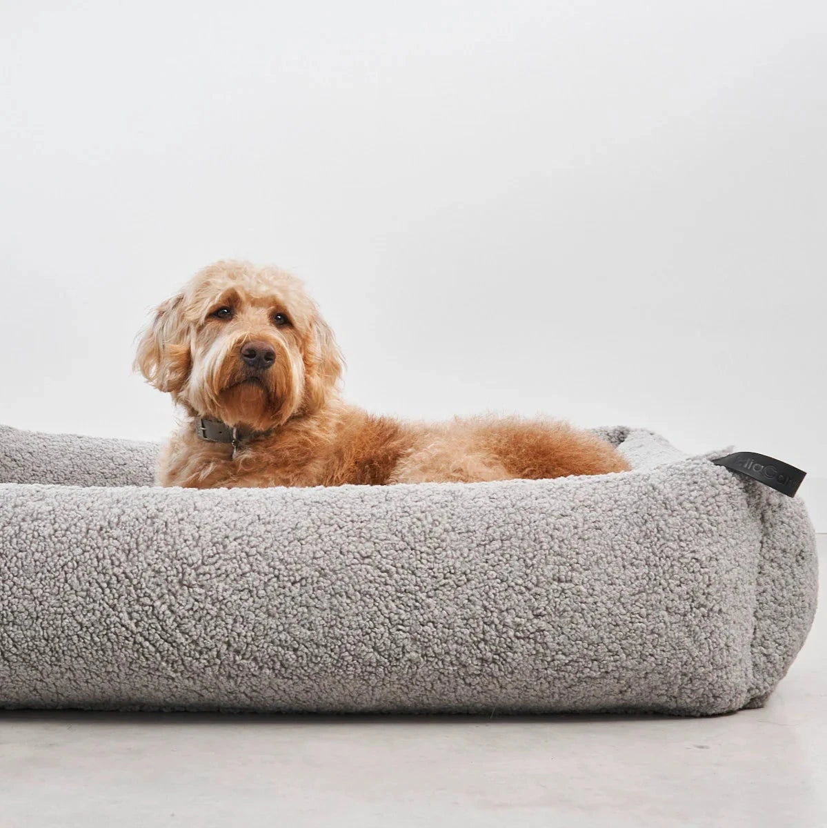 Hund auf MiaCara Hundebett Senso Kiesel