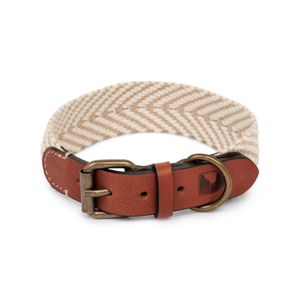 Schnalle Halsband Portixol Sand - Summer Edition - Buddys Dogwear