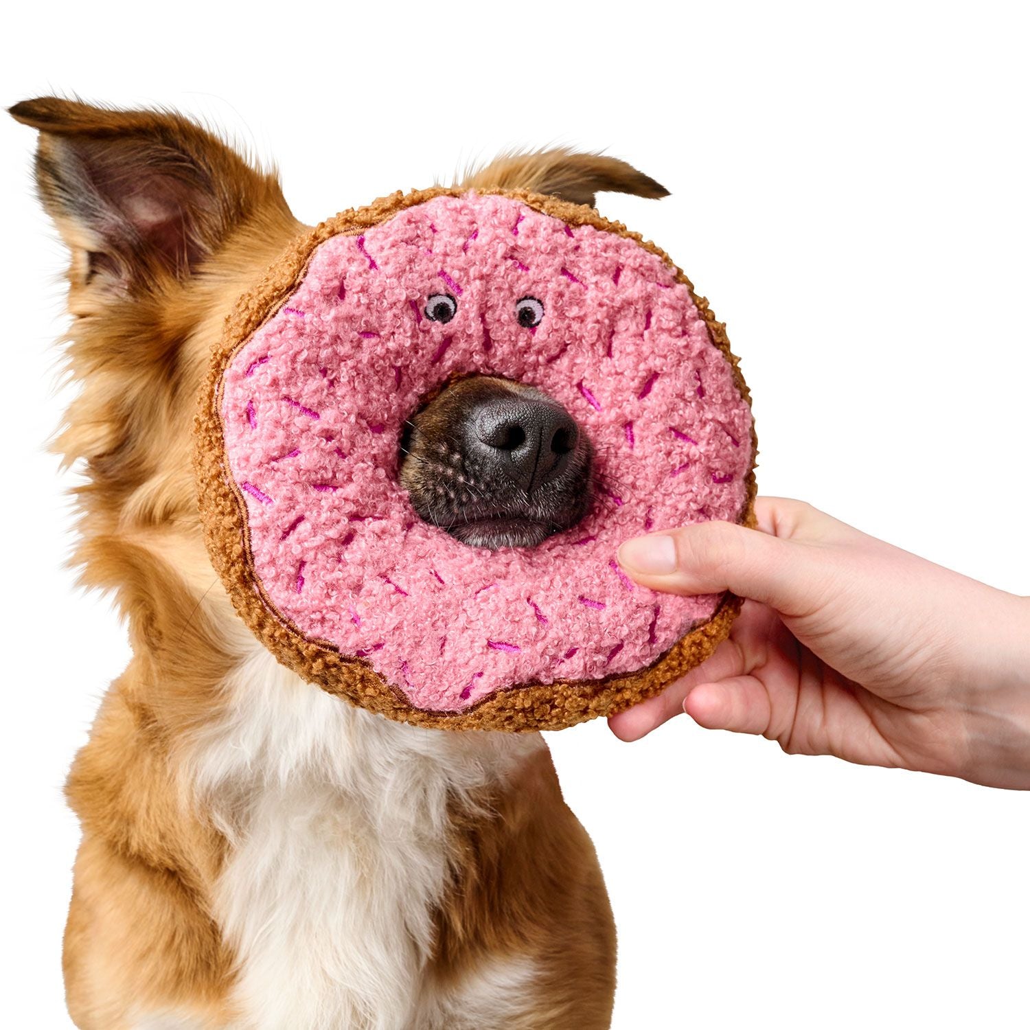 Hund mit Hundespielzeug Belem Donut 16 cm - HUNTER