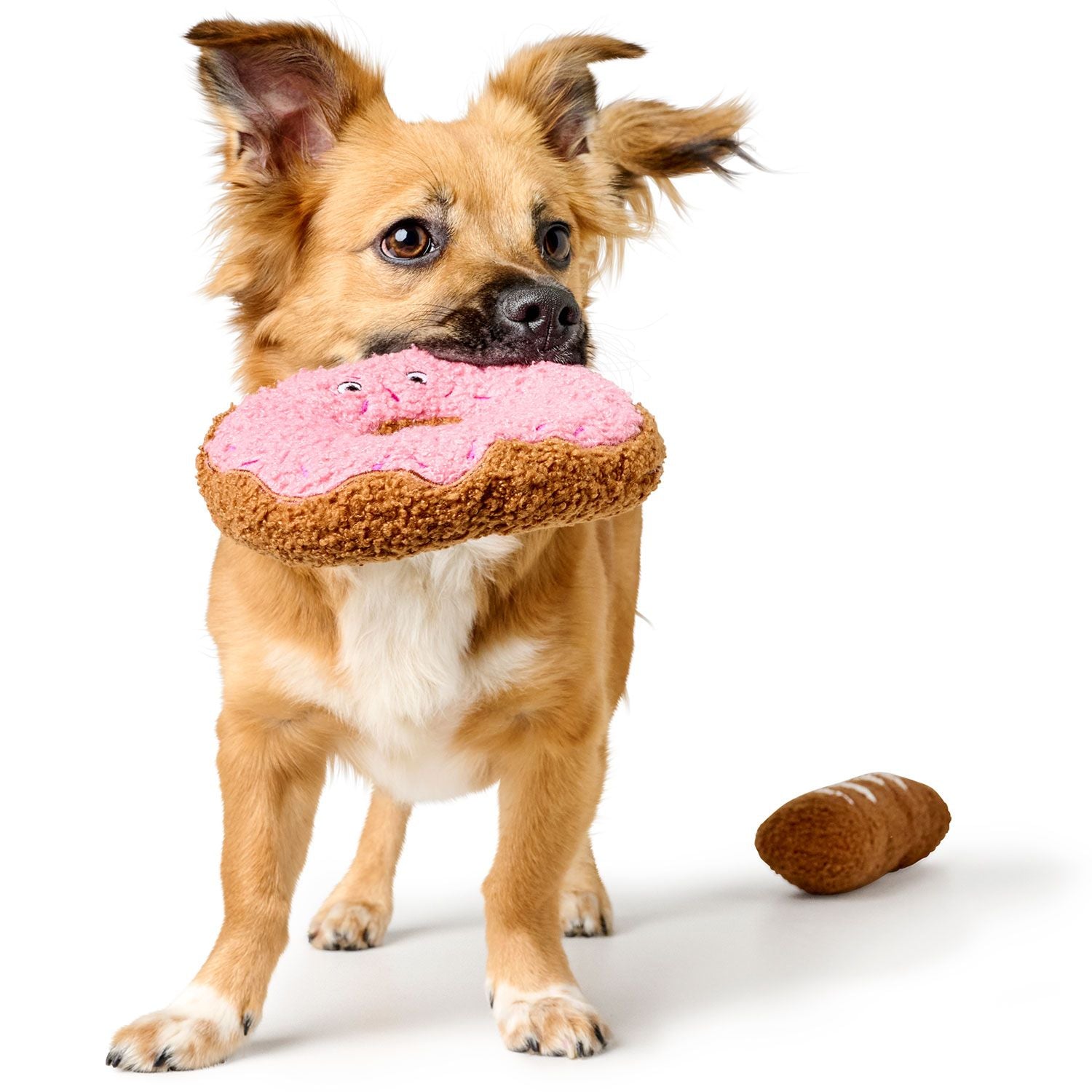 Kleiner Hund mit Hundespielzeug Belem Donut 16 cm - HUNTER