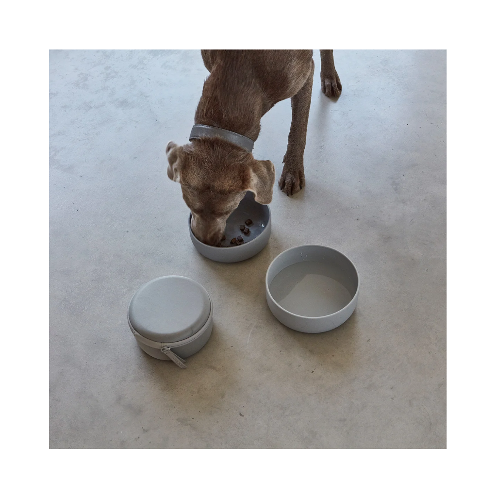 Hund an Hund an Bento 3 in 1 Reiseset Näpfe & Futterbehälter - MiaCara