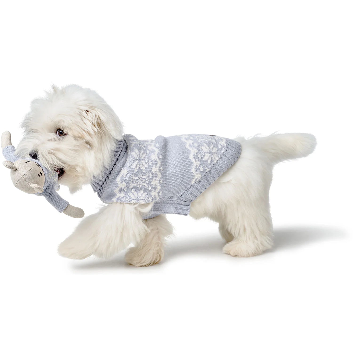 HUnd mit Hundespielzeug BIRKA Bär Hellblau im Maul - Hunter