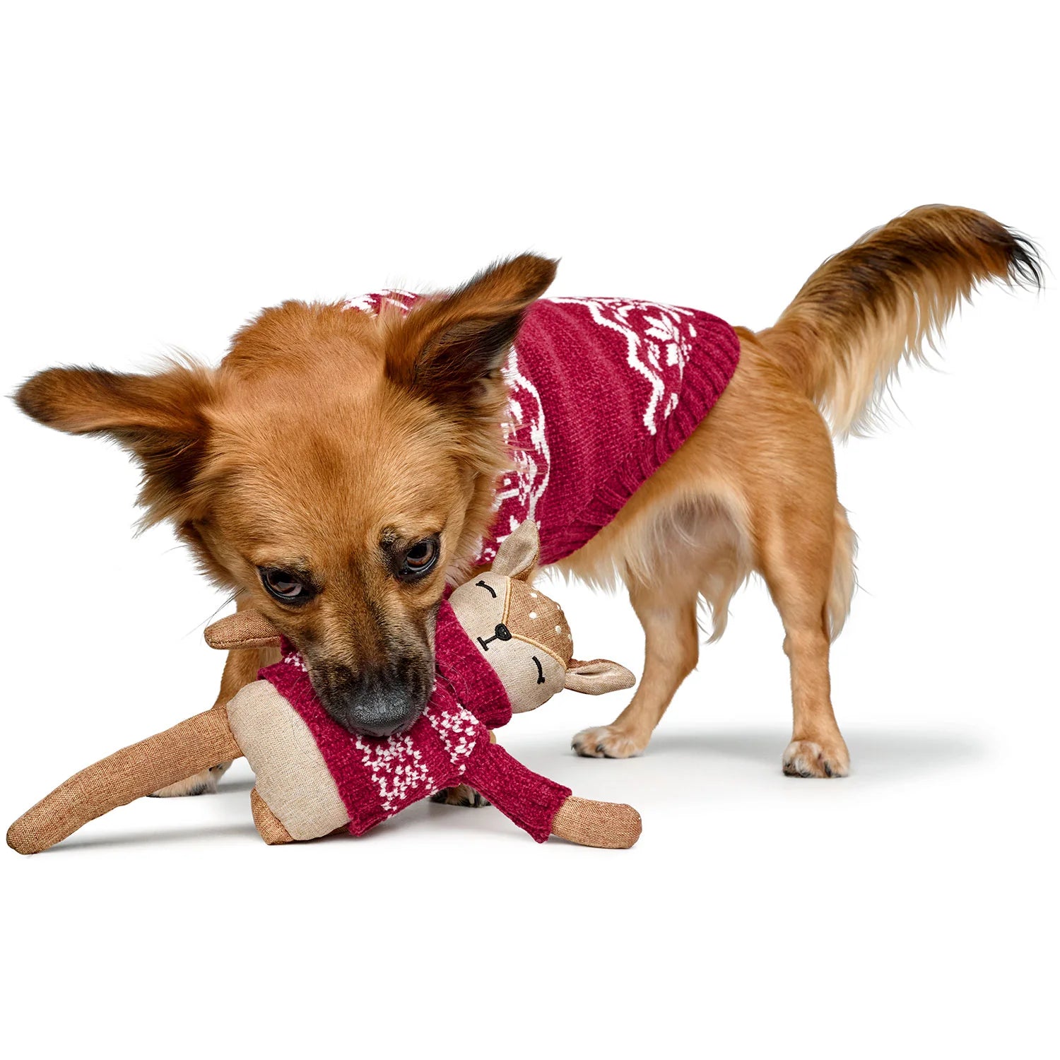 Hund mit Hundespielzeug BIRKA Reh Rot - Hunter