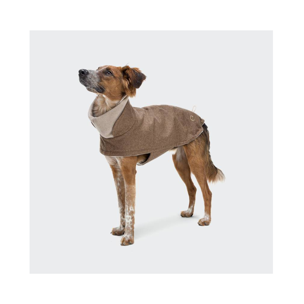 Hund mit Cloud7 Hundemantel Brooklyn Flanell Hazel