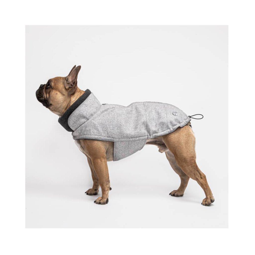 Tragebild Cloud7 Hundemantel FRANZÖSISCHE BULLDOGGE Brooklyn Flanell Grey