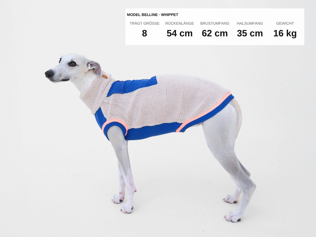 lumiies® Sport Racer Hundepullover aus Teddy-Sherpa-Fleece Royal Alpine