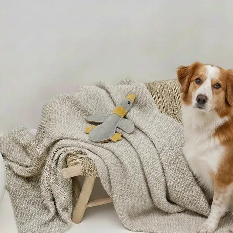 Hundespielzeug aus Wildleder "Ente"